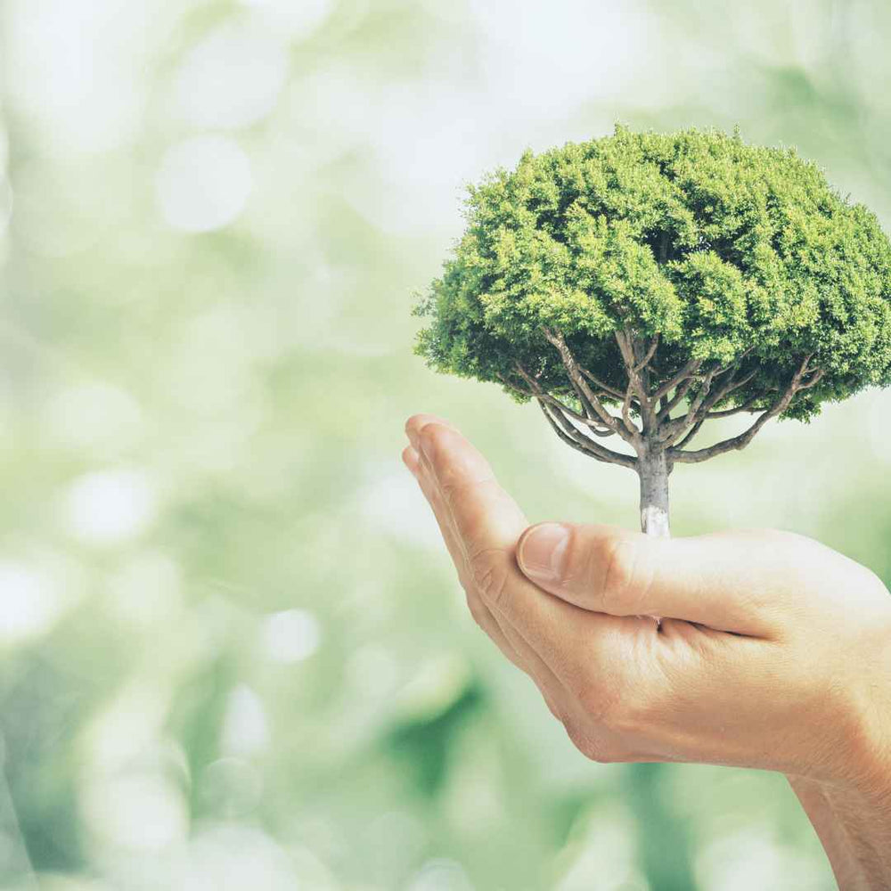 how to shop ethically and sustainably in a greenwashed world by luxe.zen
